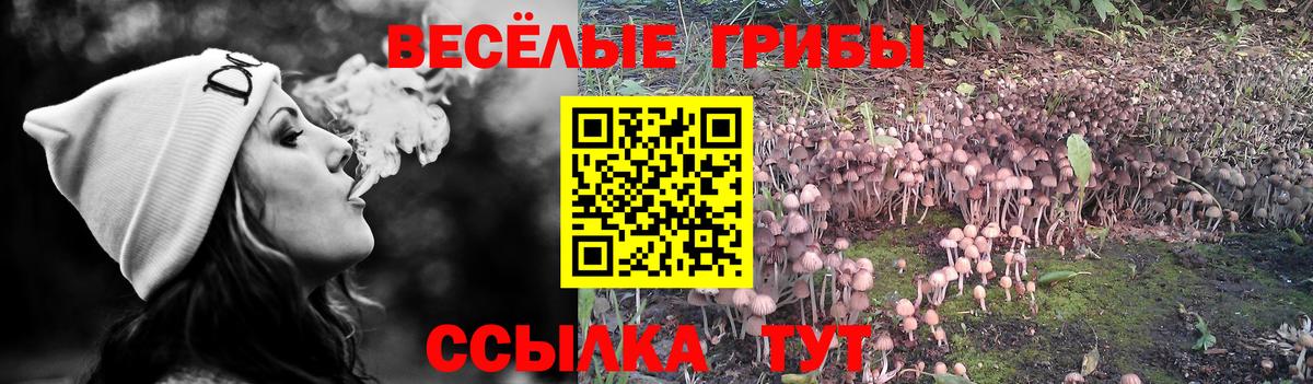 купить   Вход с VPN  Кушва  Псилоцибиновые грибы ЛСД 