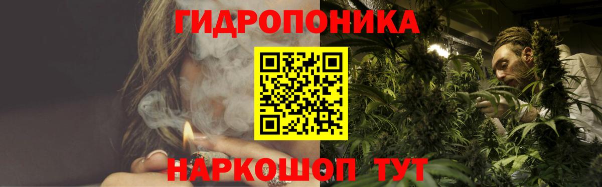 Каннабис индика Кушва